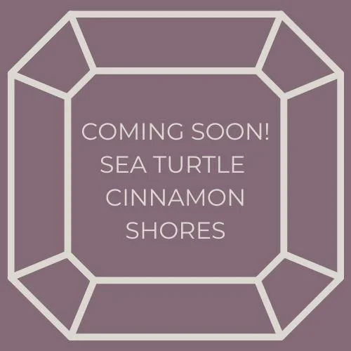 Sea Turtle Cinnamon Shores - Beach House