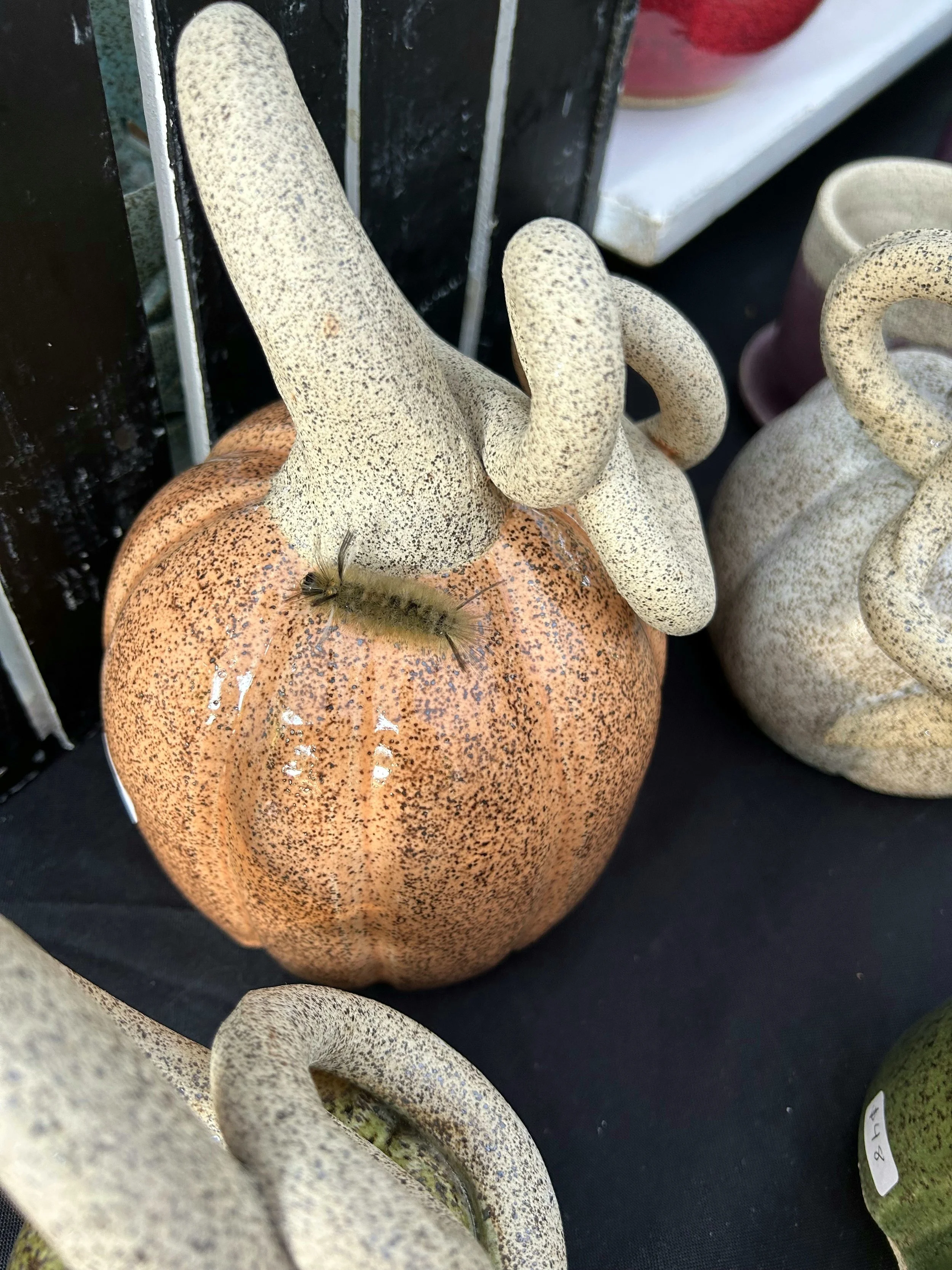 Yellow Daisy Arts Festival