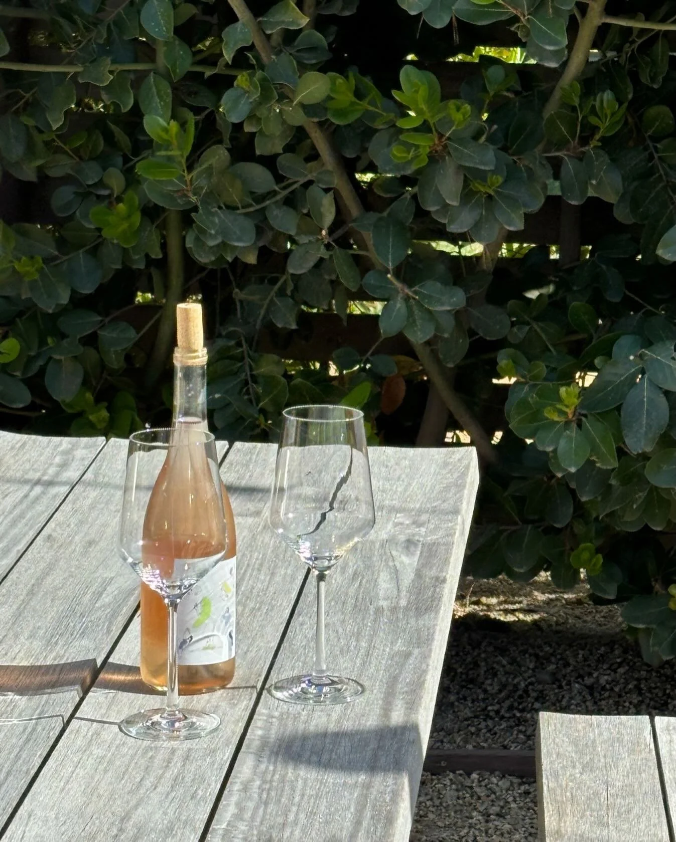 A reminder of our holiday hours at Bodega &mdash; 
Closed Thursday 12/25
Open Friday 12/26 
Open Wednesday 12/31
Open 1/1
🍾🍾🍾🍾