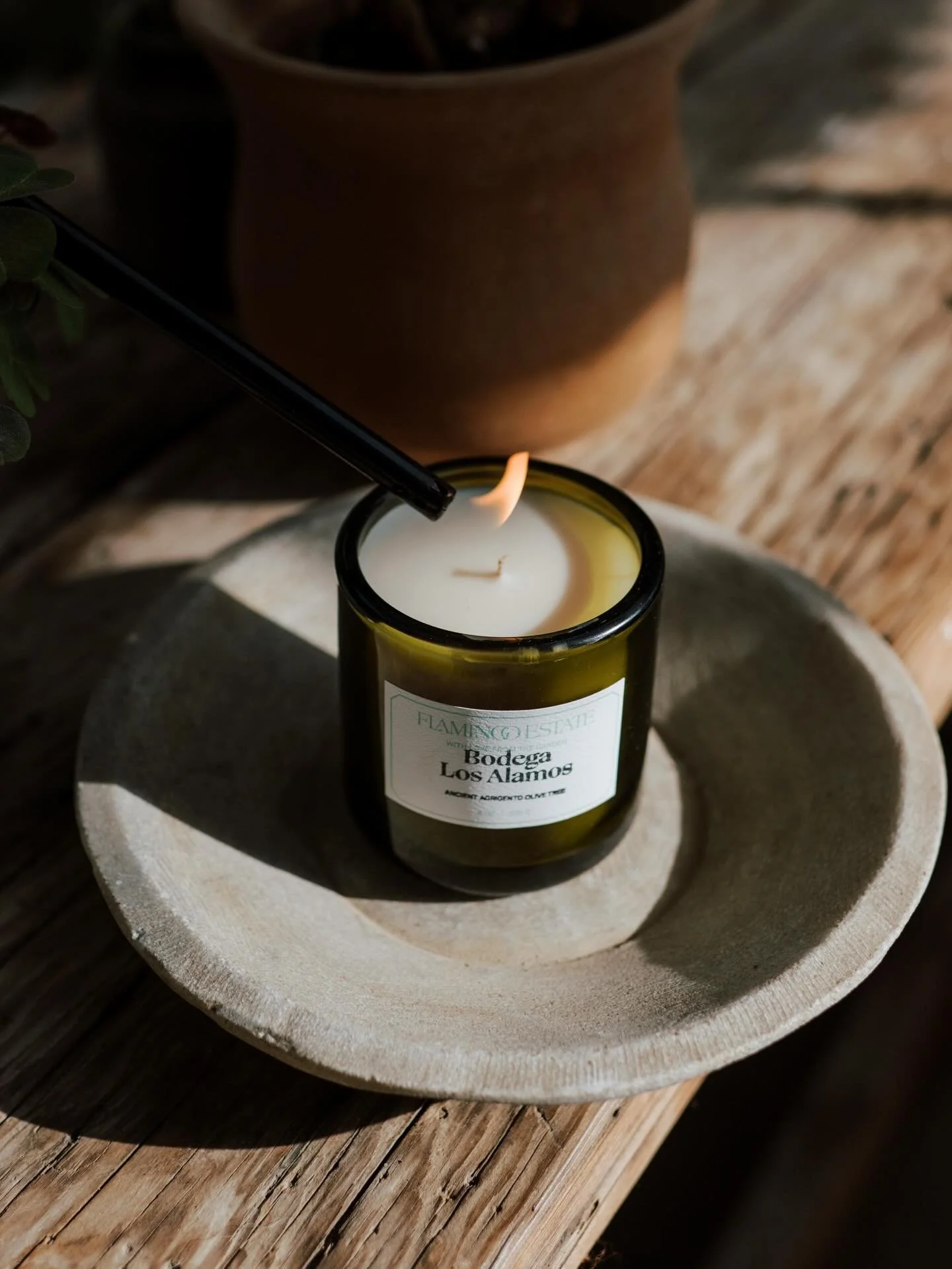 Pop into Bodega Shop this weekend and pick up something for your Valentine 💘💘 Open all weekend 11a-6p!
📷 @anyaismyname