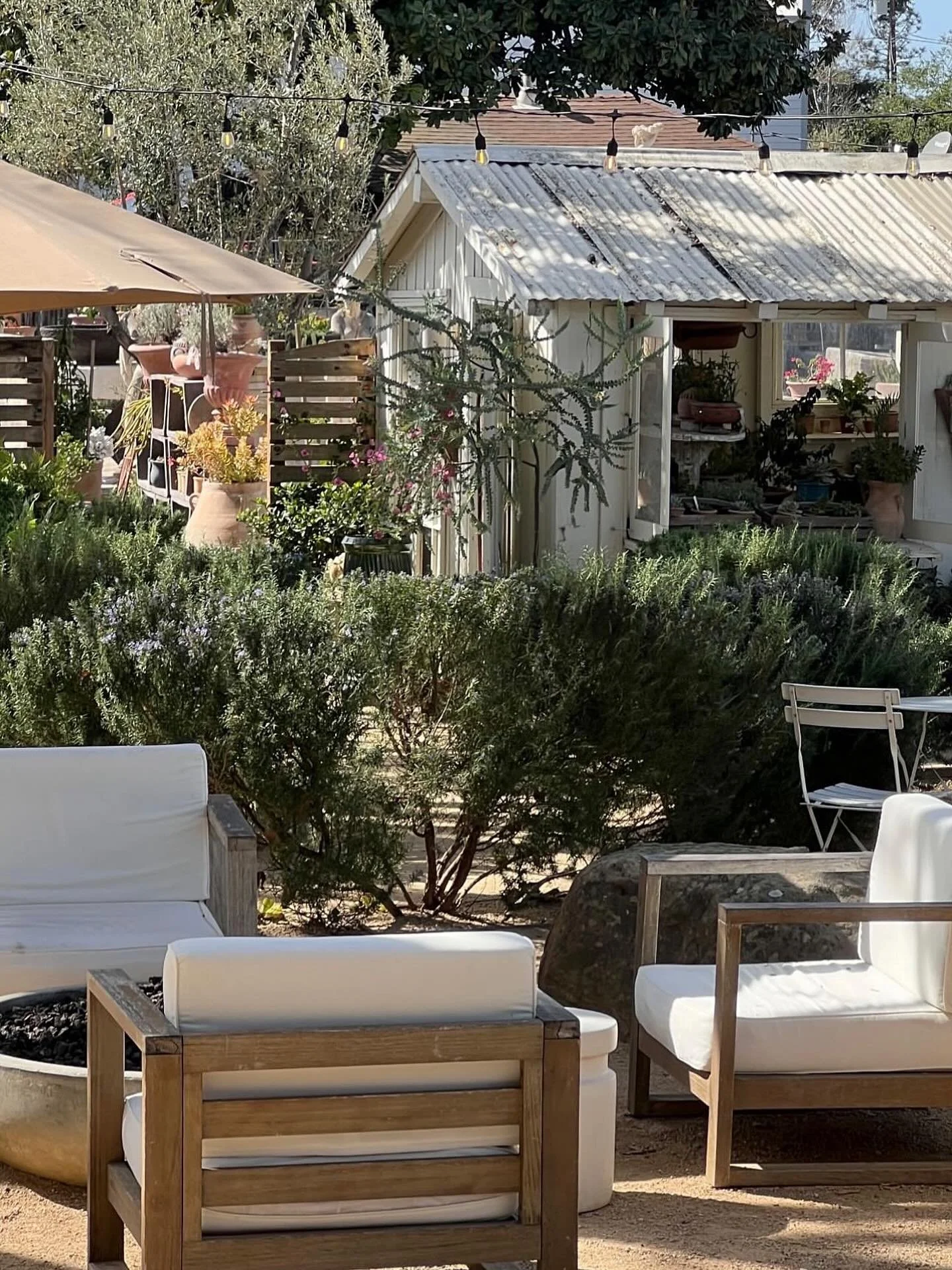 Leaning into this March heat wave with lots of chilled wine &amp; cold beer. See yall this weekend!
Don&rsquo;t forget to pop by for our Wine Club Pick Up &amp; Market this Sunday from 11a-3p 🌞