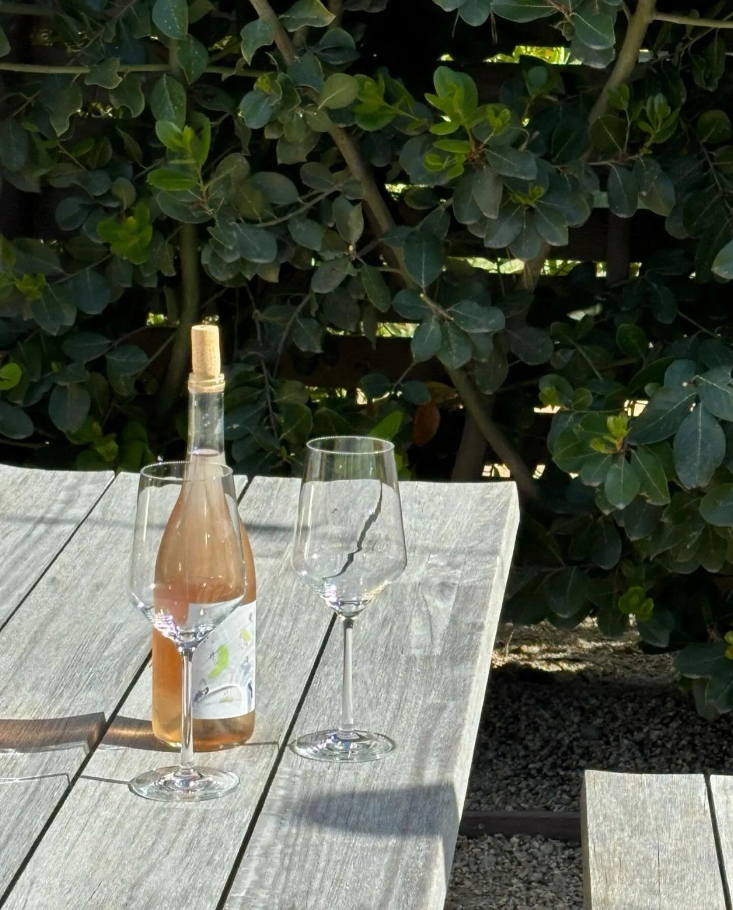 It&rsquo;s a good day for a bottle of Bodega Ros&eacute; in the garden 🌼