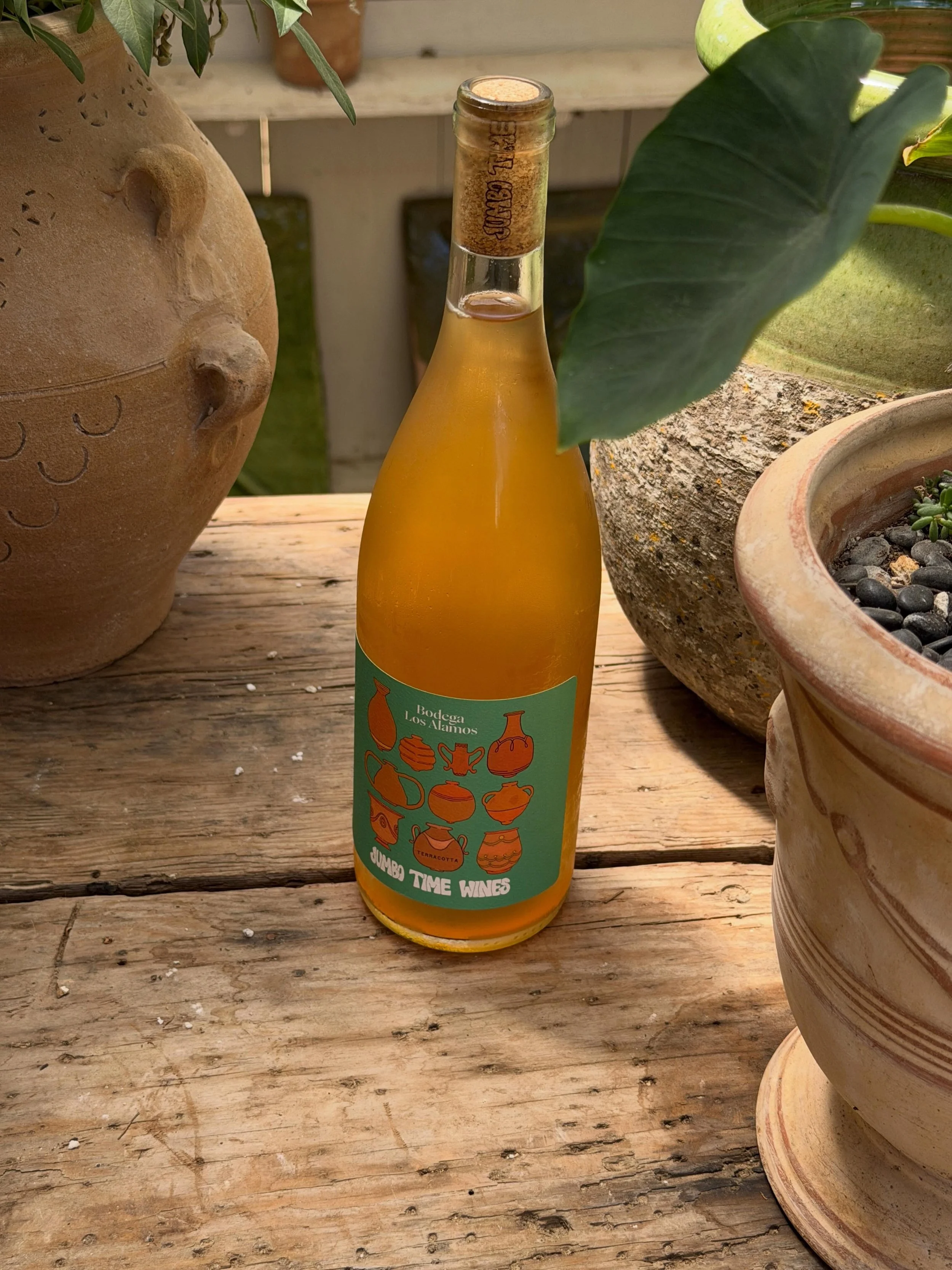 Our skin contact collaboration wine with @jumbotimewines &lsquo;Terracotta&rsquo; surrounded by its namesake @eyeofthedaygdc pottery 🍊 Available by the glass all weekend 🌞