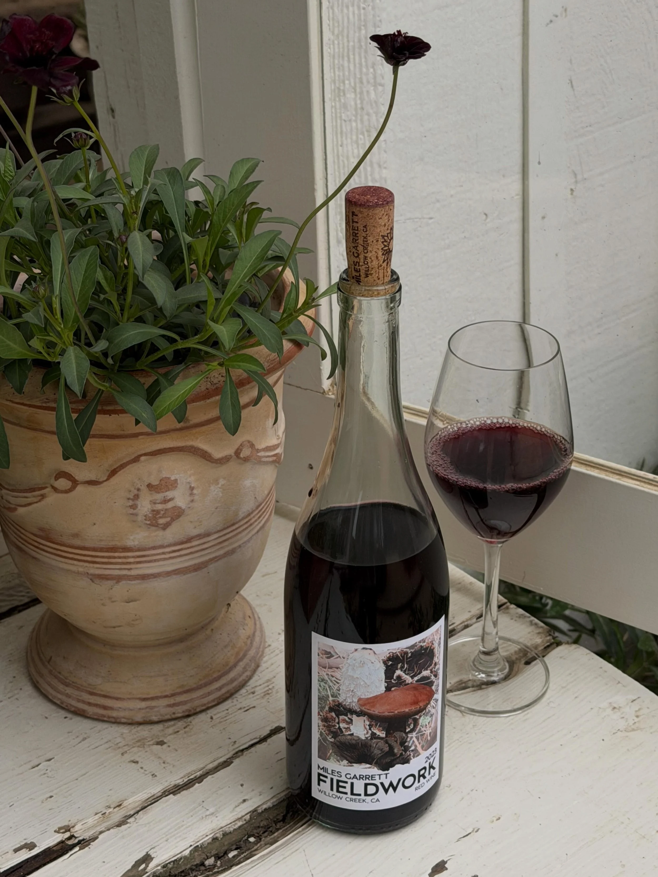 New BTG: Fieldwork Red Blend from Miles Garrett Wines

Tucked among the mountain slopes of Willow Creek, Miles Garrett is a small family-run winery crafting wines that feel deeply connected to Humboldt County. Juicy, savory, and perfect alongside a p