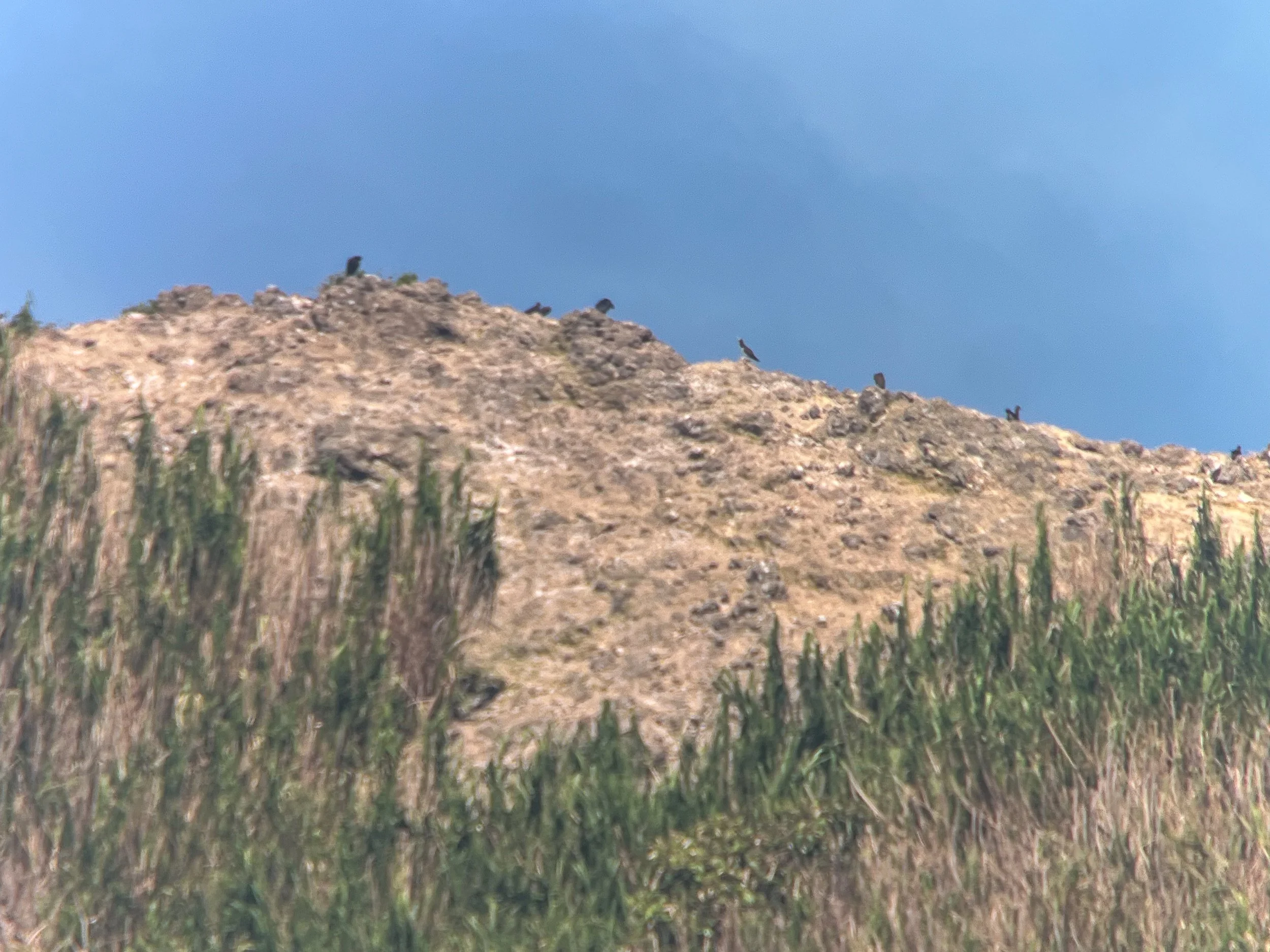 Landscape2.jpg