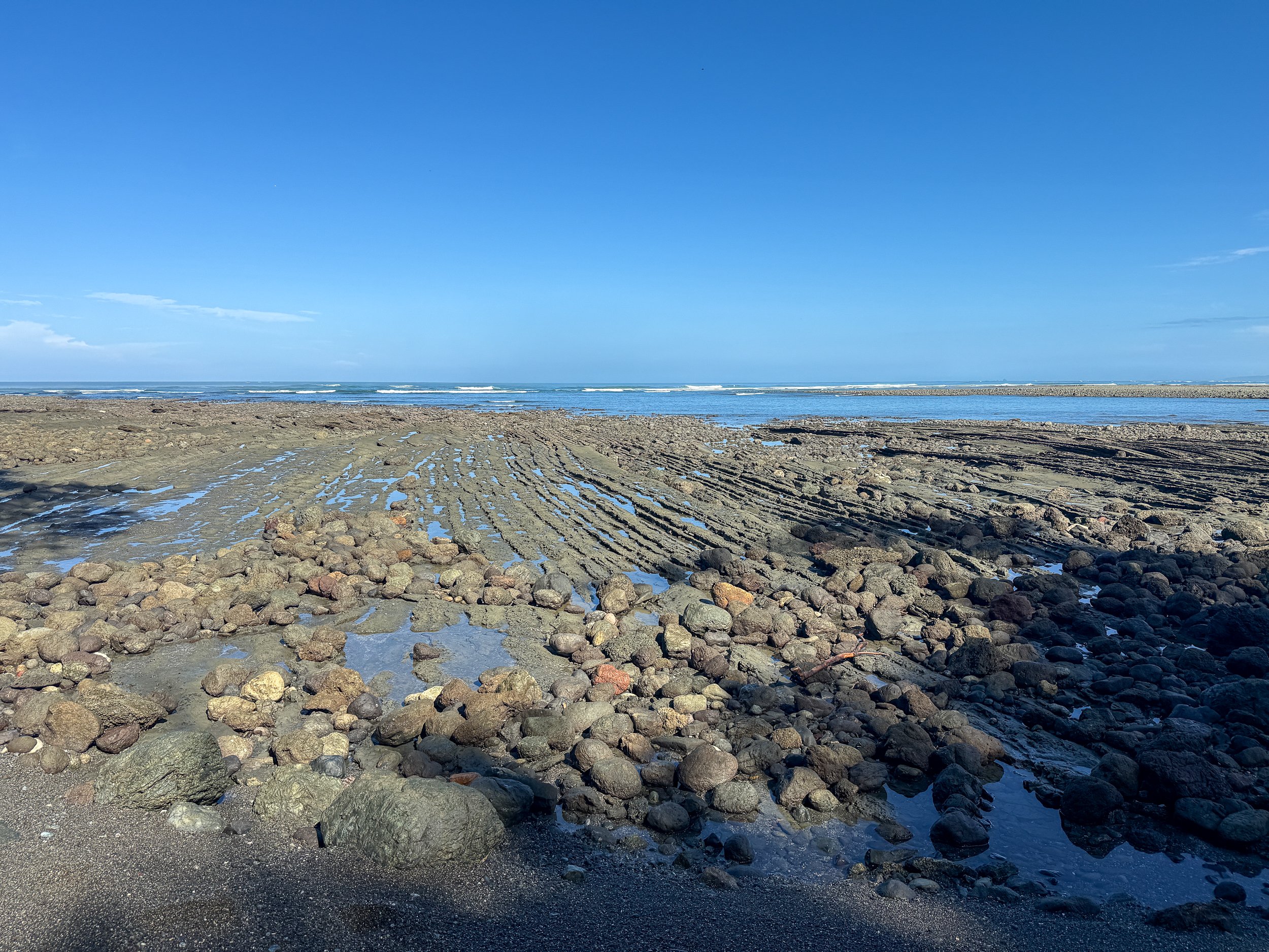 Landscape4.jpg