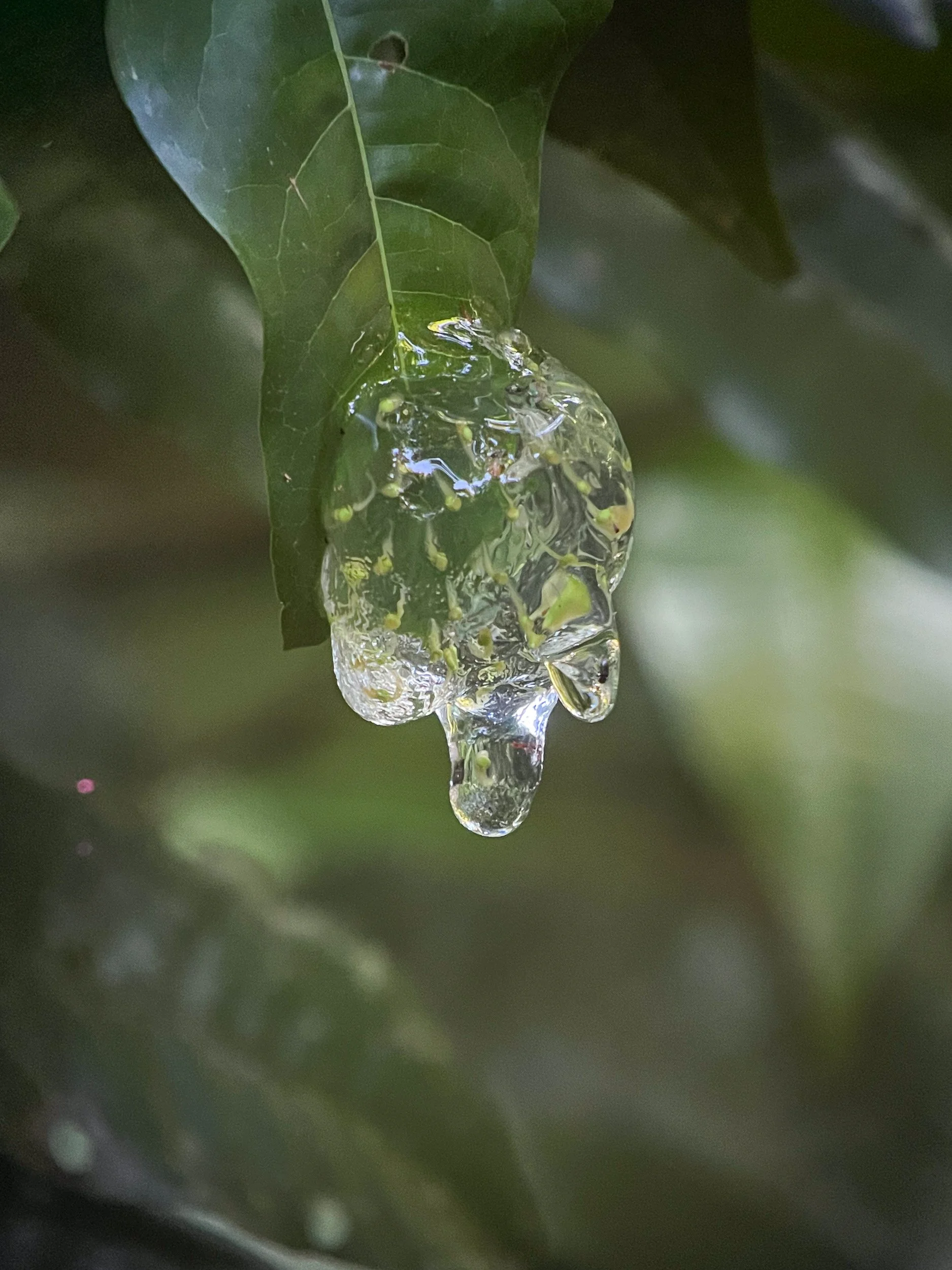 Water1.jpg