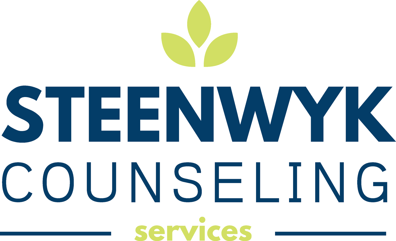 Scott Steenwyk Counseling Services