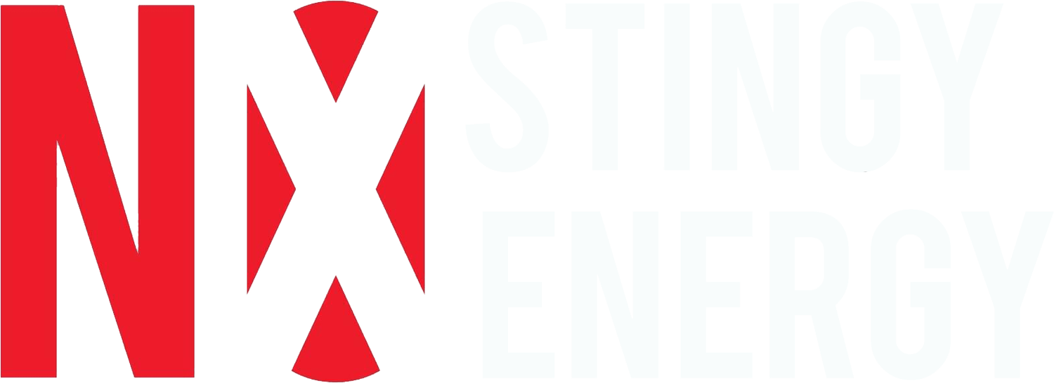 No Stingy Energy Podcast