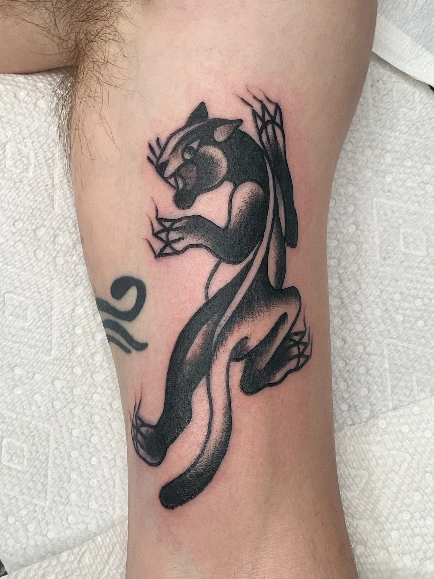 Little panther tat from a flash day awhile ago 🖤
#traditionaltattoo #americantraditionaltattoo #trad #boldtattoo #panthertattoo #oldschooltattoo
