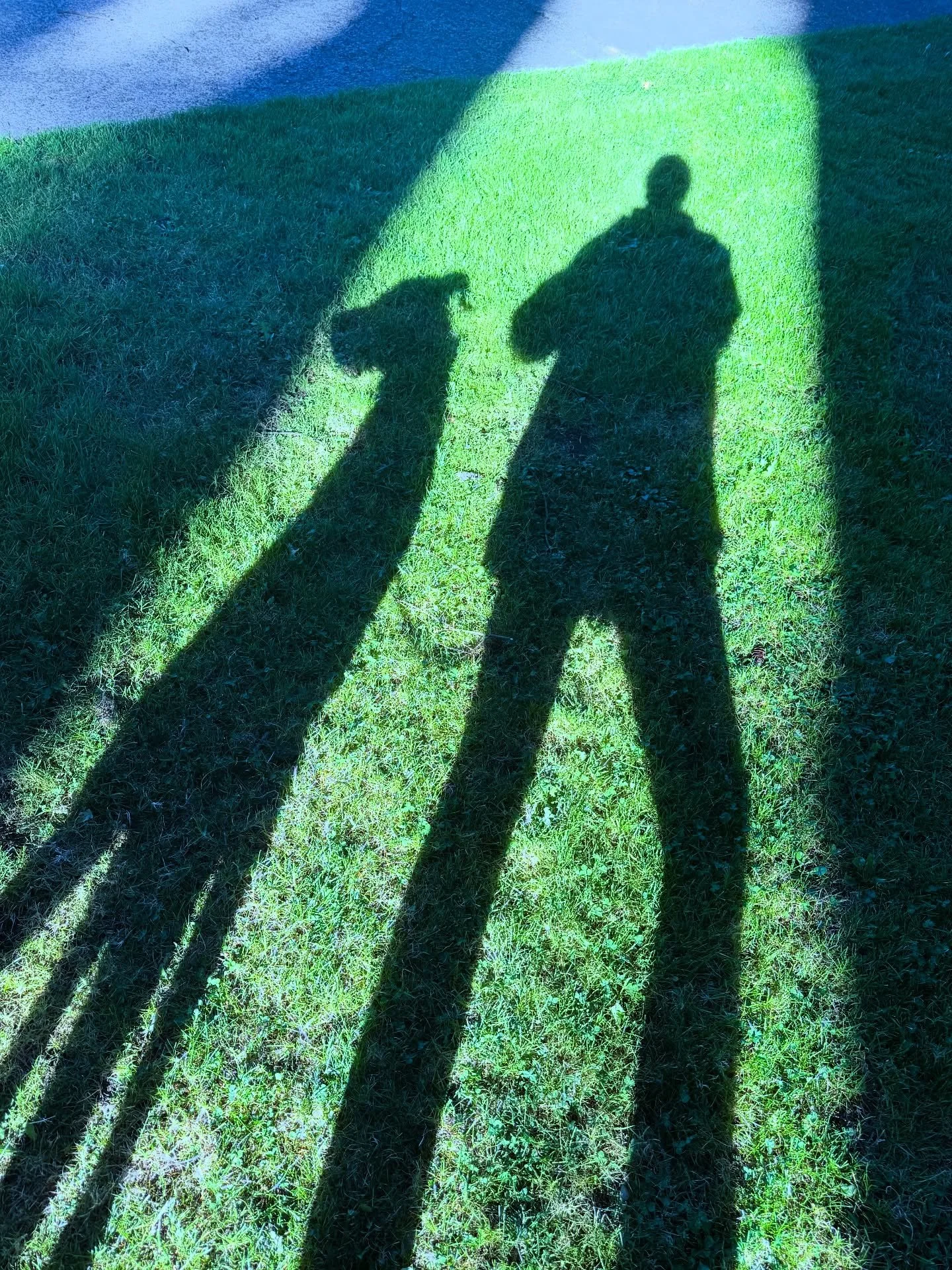 My tattoo books are open for #eugeneoregon ! Please email me to chat about tattoos and set something up 🫶 I would love to tattoo you! My email is rarespidertattoo@gmail.com ❤️‍🔥