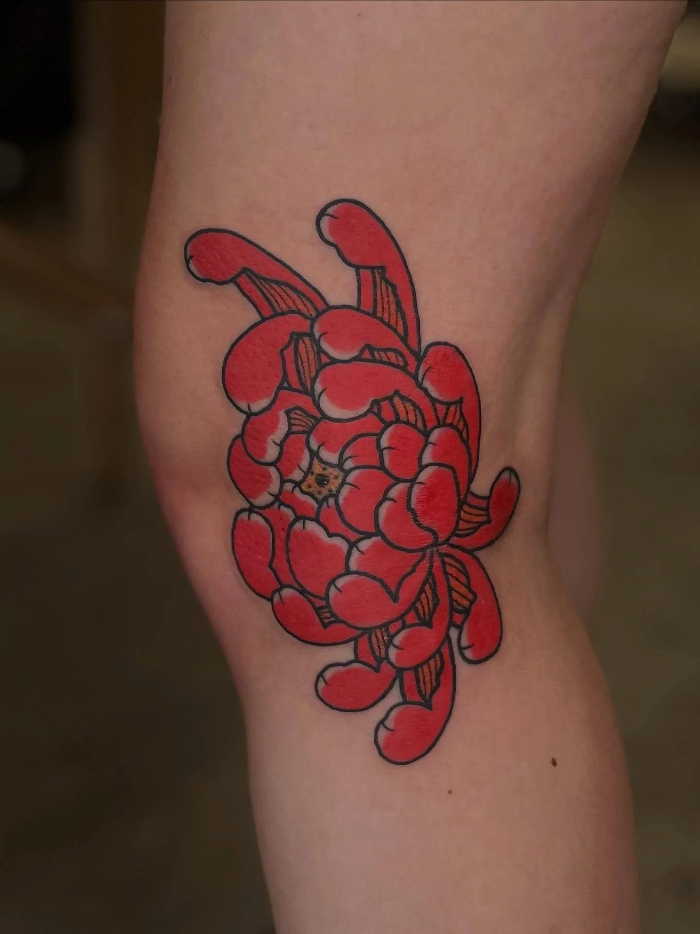 Fun chrysankneemum I got to do a bit ago!
Made at @superelectrictattoo 
.
.
.
.
.
.
.
.
.
.
.
.
.
#JapaneseTattoo #chysanthemum #mumtat #kneetattoo #floraltattoo #flower #flowerstagram #eugeneoregon #eugenetattooartist #eugenetattoos #japaneseeugen