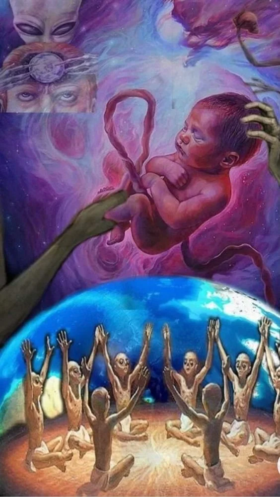 Samsara The Karmic Cycle