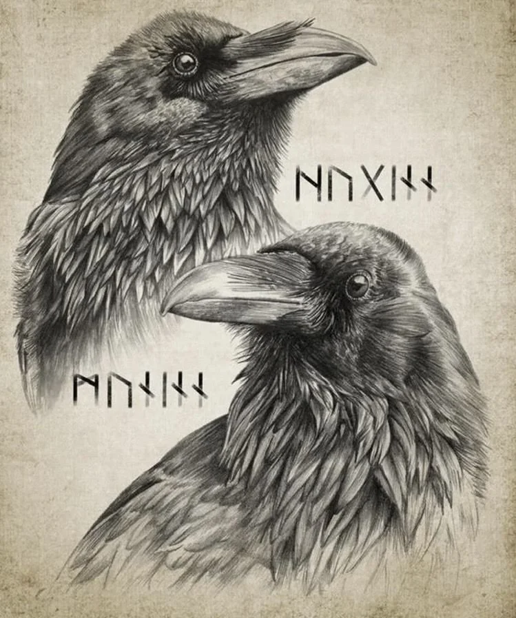 Huginn and Muninn He Who Thinks He Who Remembers The Raven Messengers