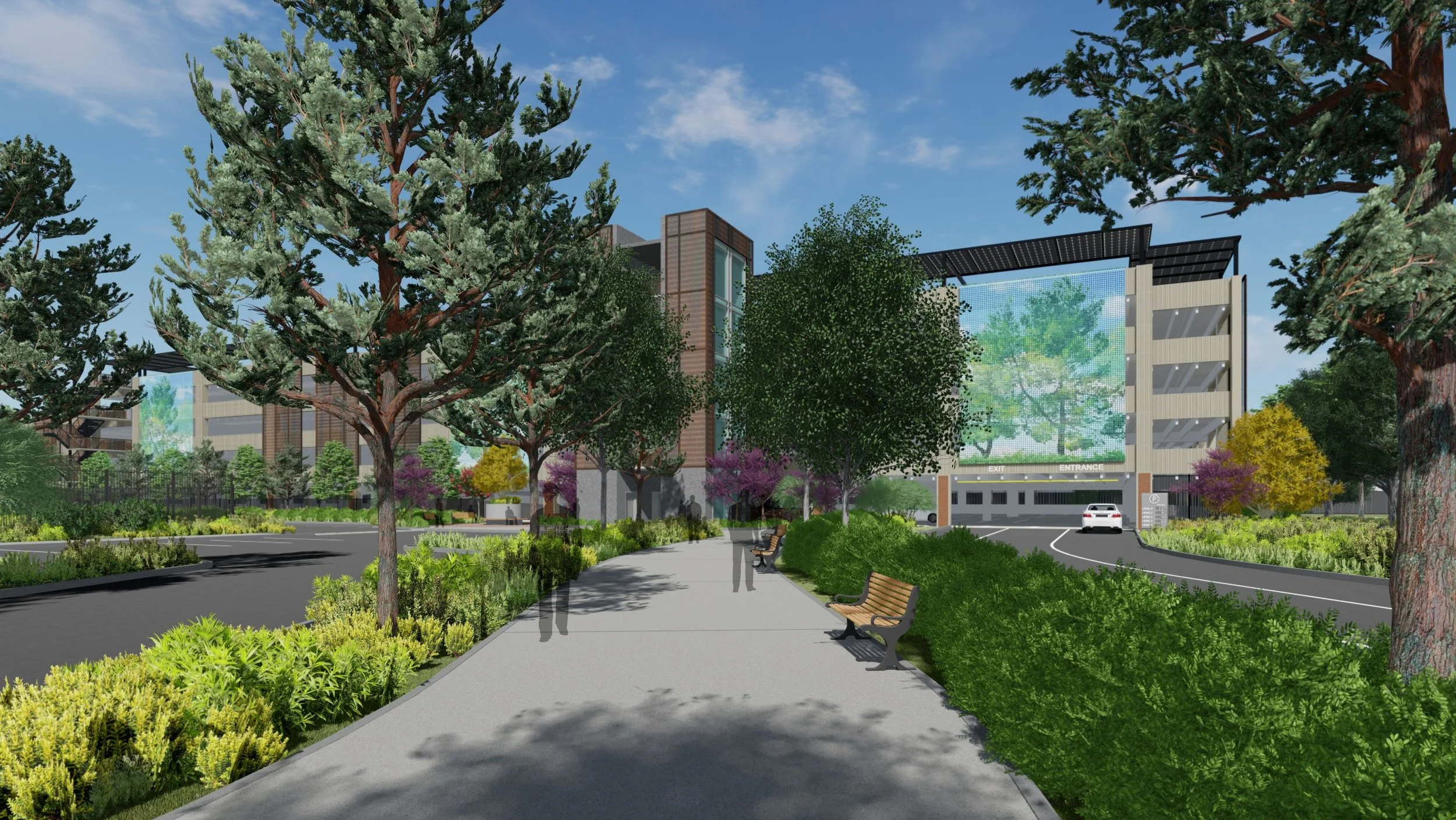 01 Pedestrian Walk 2.jpg