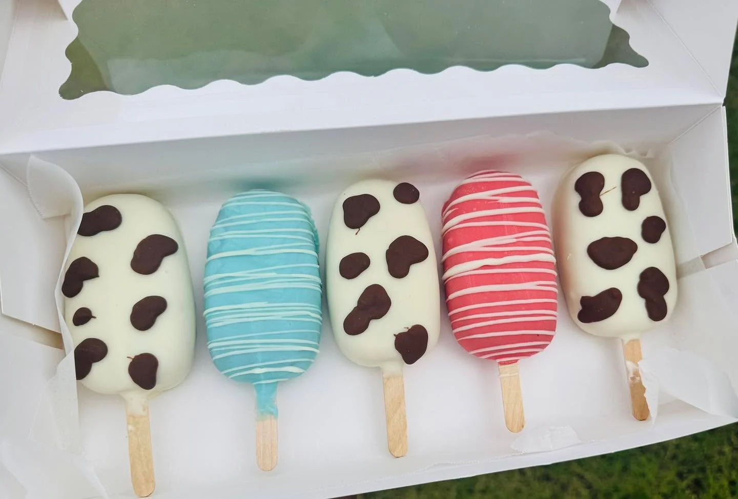 Just added something sweet on a stick to my lineup&hellip;Cakesicles have entered the chat! 😍🫢