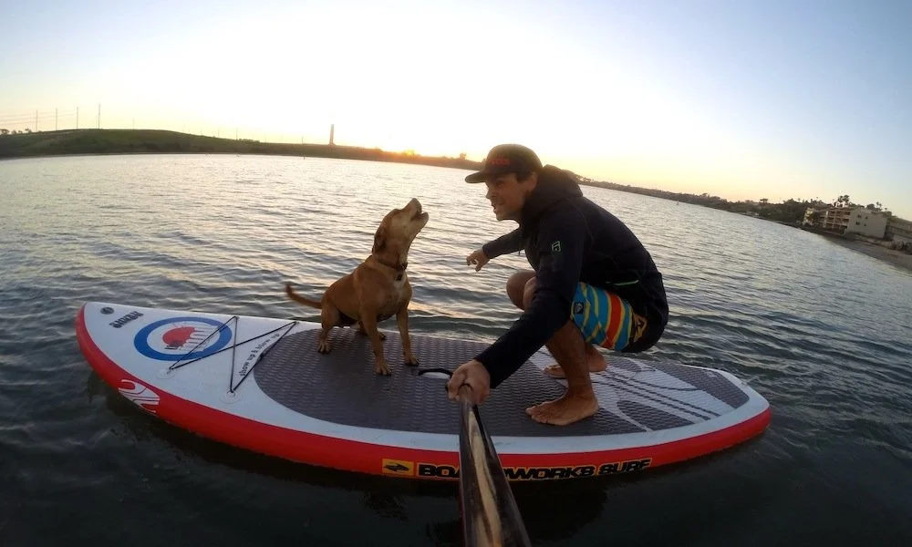 how-to-keep-your-dog-safe-when-paddle-boarding-3.jpg