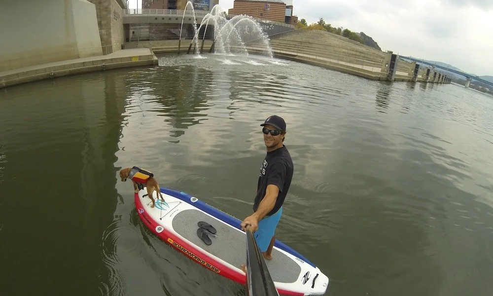how-to-keep-your-dog-safe-when-paddle-boarding-4.jpg