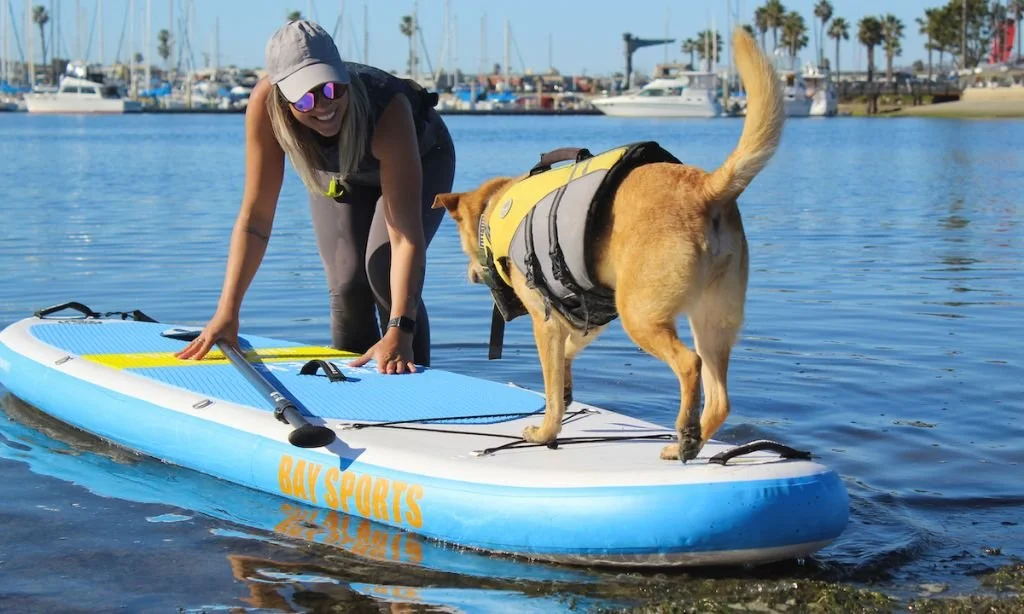 10 Tips For Paddling With High Anxiety Dogs