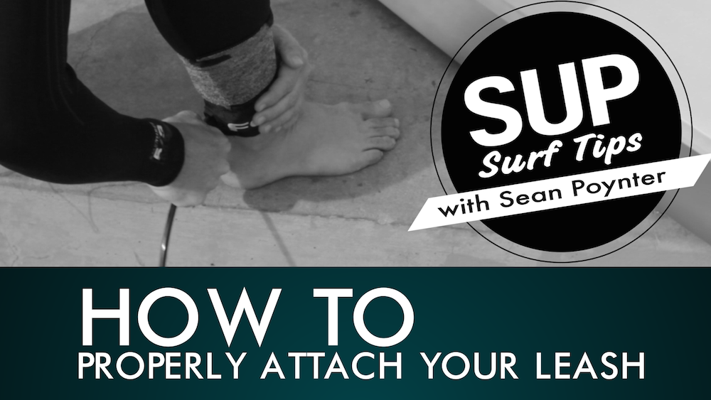 How To Put Your Leash String And Leash On Your Sup