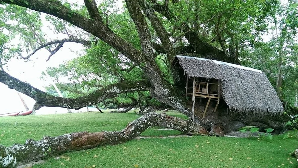 treehouse-accommodation-port-olry-espiritu-santo-vanuatu.jpg