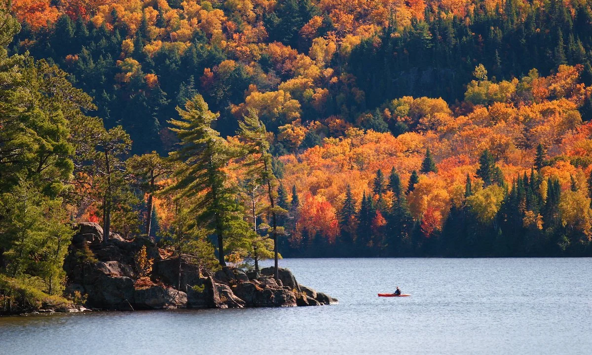 algonquin-park-sup-destination-autumn01.jpg
