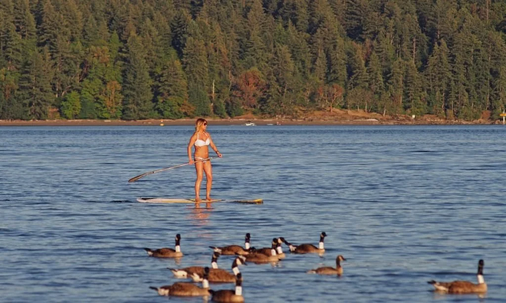 Paddle Boarding Vancouver, British Columbia