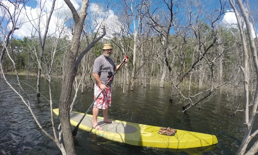paddle-boarding-gold-coast-hinze-dam-drowned-forest.jpg
