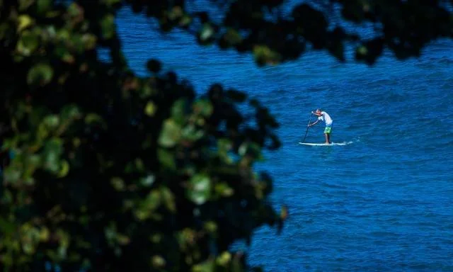 Best Places For Stand Up Paddle Boarding In Dominican Republic