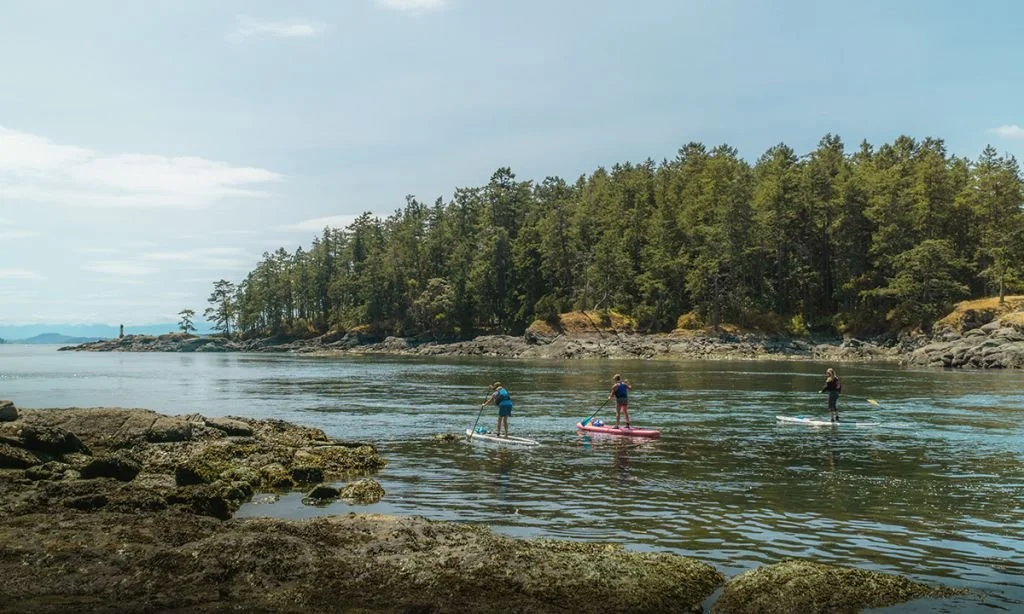Paddle Boarding Saanich Peninsula, B.C., Canada