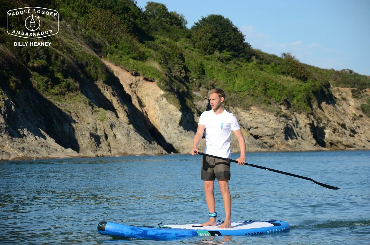 Do’s And Don’ts For Watching Marine Life