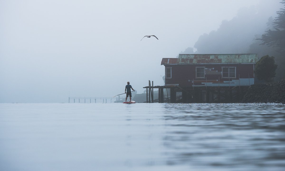 A morning and misty paddle in the Otago harbour, New Zealand. | Photo: Johny Cook