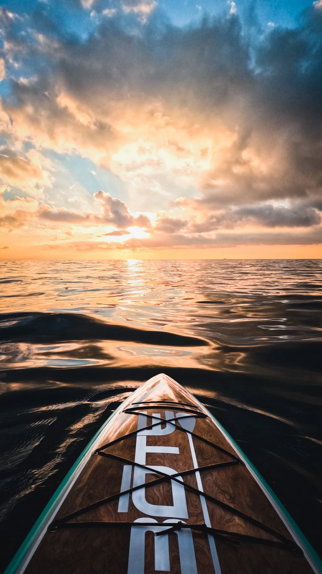 Weekly Recap 1/02/2024