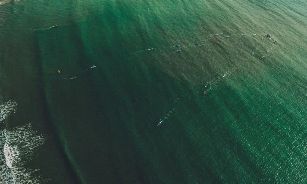 TOP SUP STORIES OF 2023