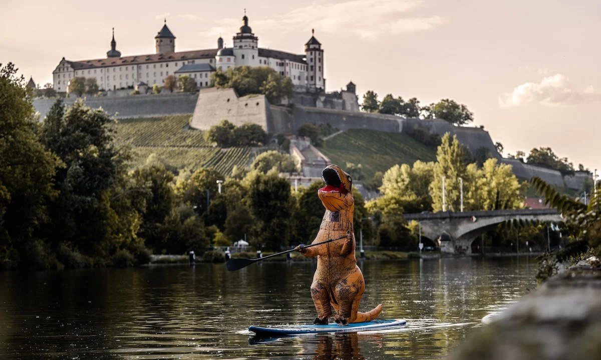  Here you see the rare SUPrex in its wildlife! He's calm and feels unobserved. It's really rarely to see him live. So it was like the shot of one million. And in the background you see a symbol of his home territory, the castle Marienberg. | Photo co