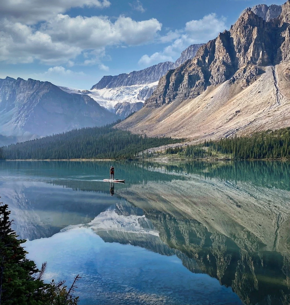 Weekly Recap 11/14/2023