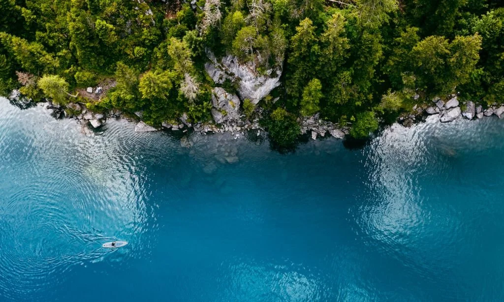 WEEKLY RECAP 10/24/24