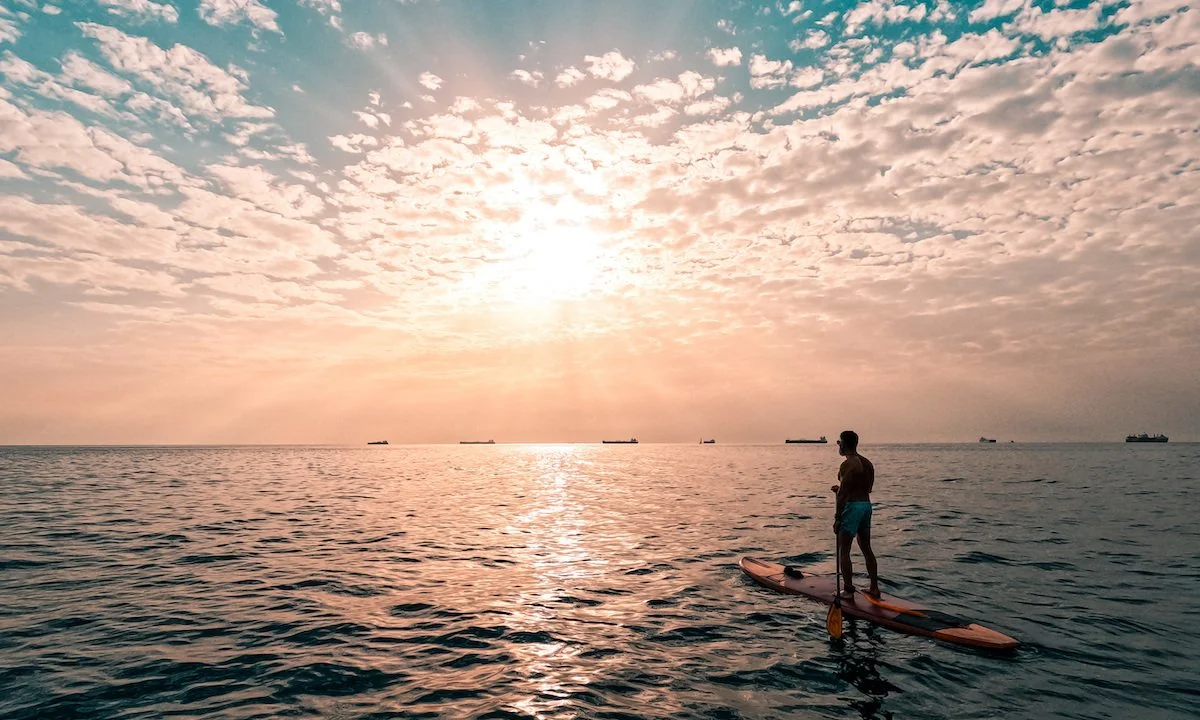 WEEKLY RECAP 9/19/2023