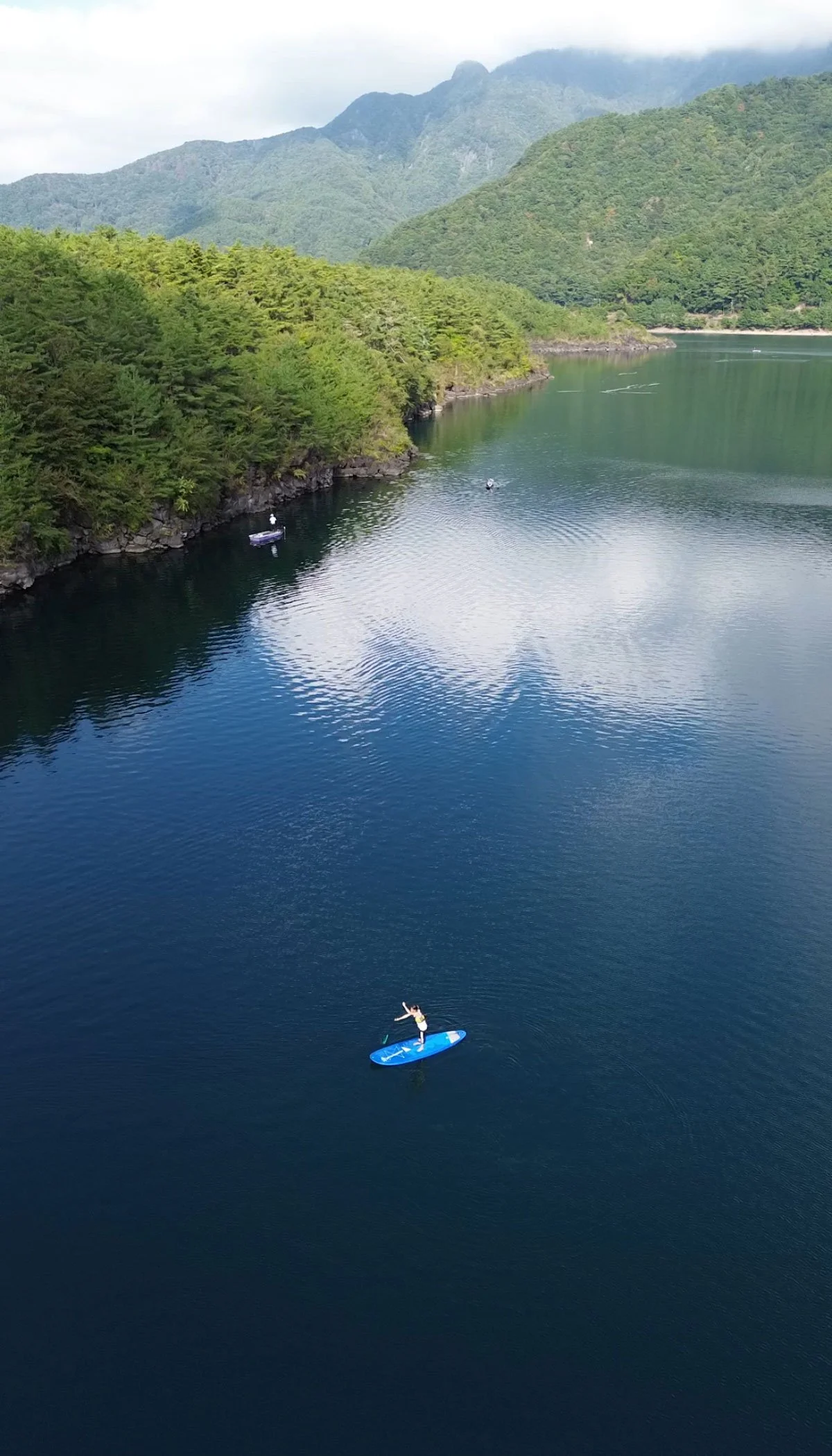 WEEKLY RECAP 01/23/2024