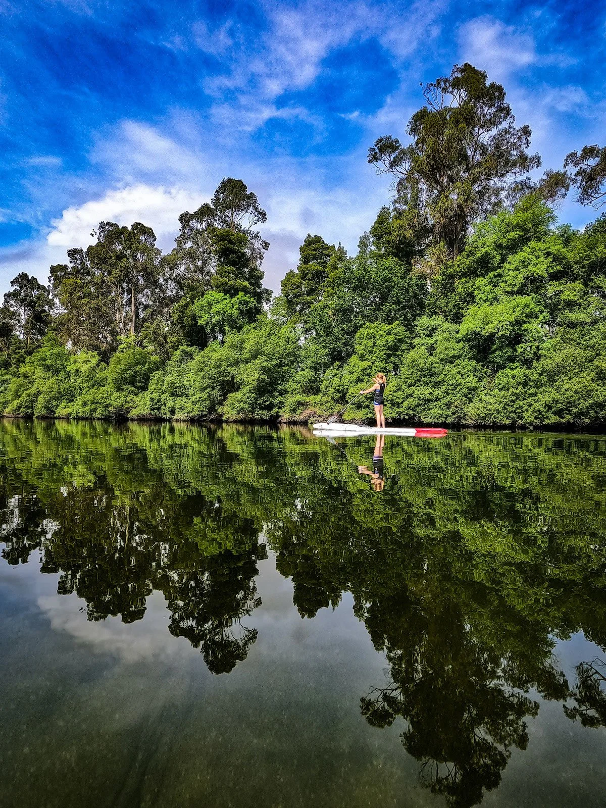 WEEKLY RECAP 6/6/2023