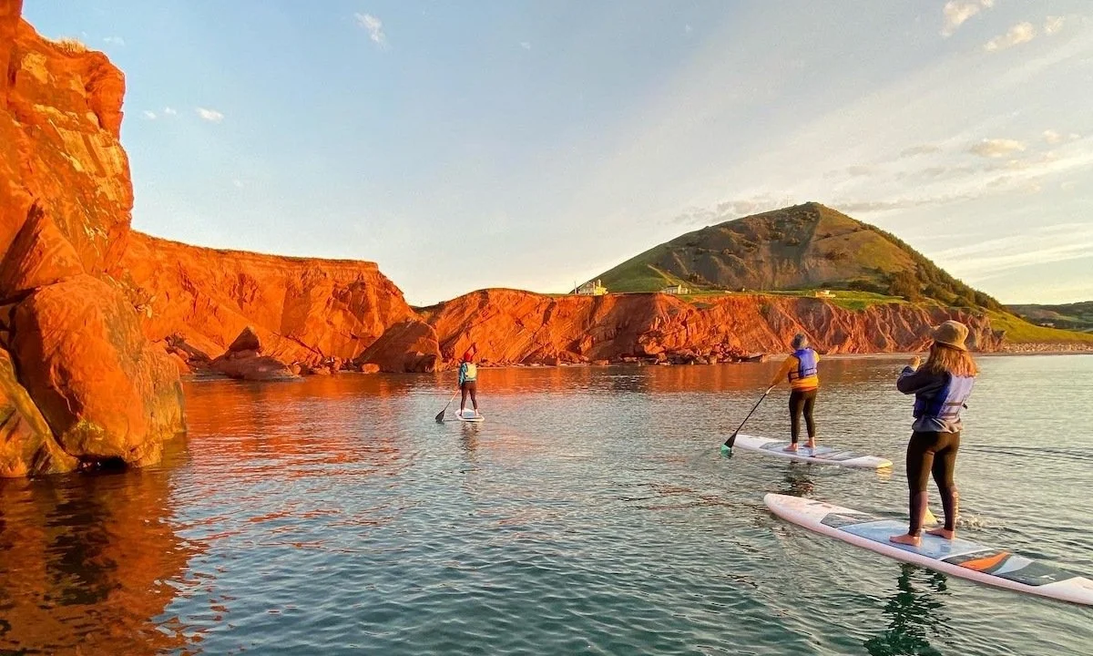 WEEKLY RECAP 02/28/23