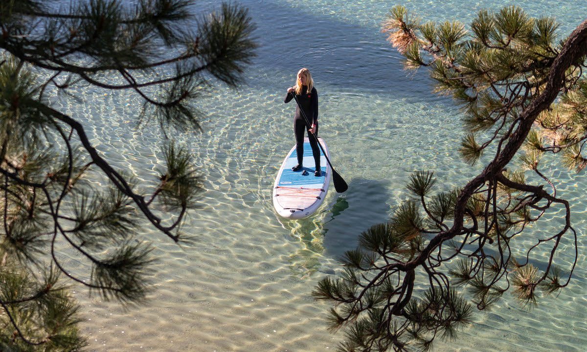 WEEKLY RECAP 01/31/23