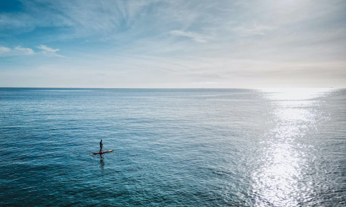 WEEKLY RECAP 01/24/23