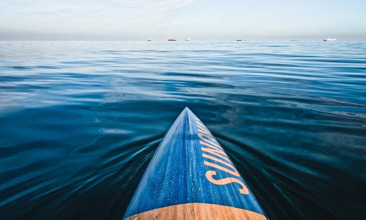 Weekly Recap 02/06/2024