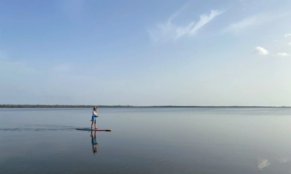 Calusa_Blueway_Paddling_Trail_-_5.jpg
