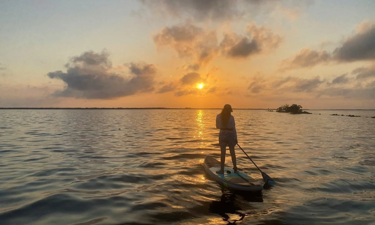 Calusa_Blueway_Paddling_Trail_-_4.jpg