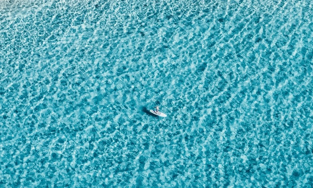 Weekly Recap 2/11/2025