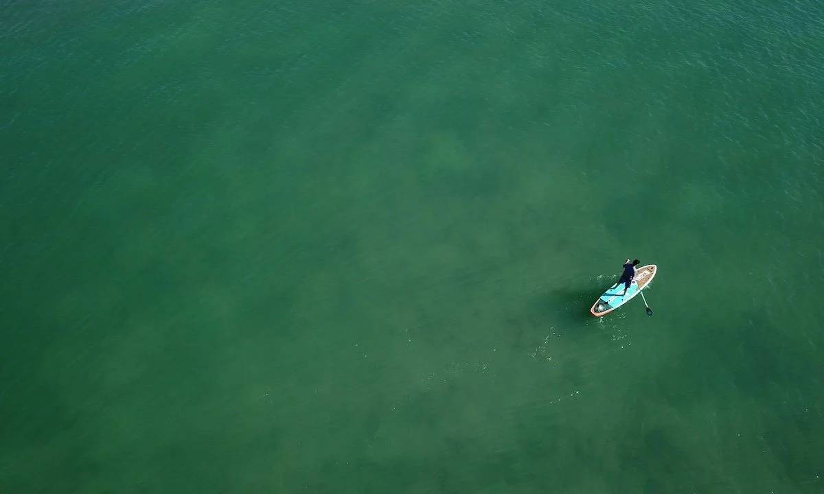 Weekly Recap 2/25/2025