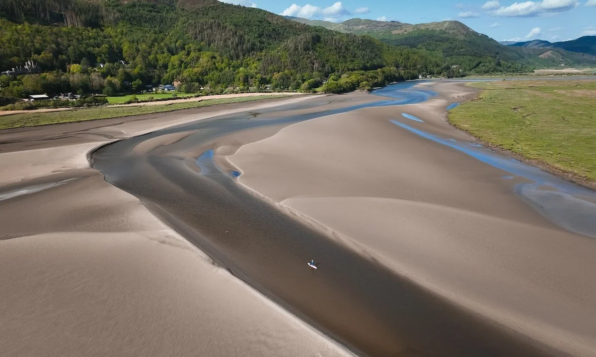 Weekly Recap 04/08/2025