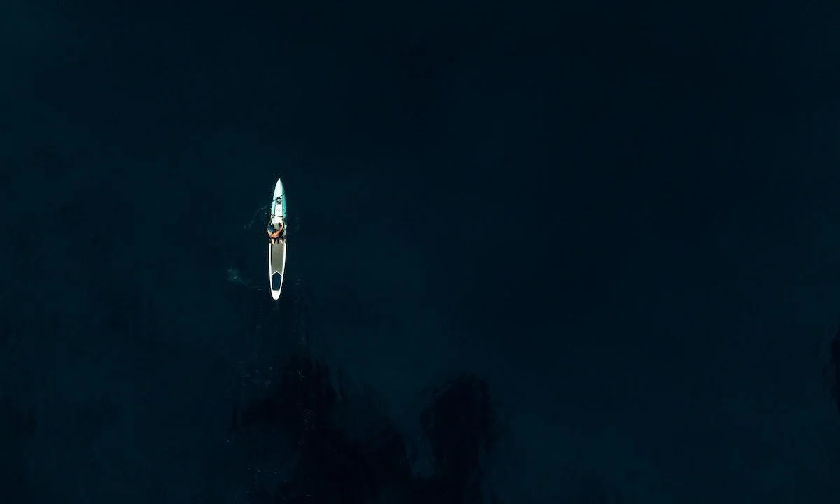 Weekly Recap 04/15/2025